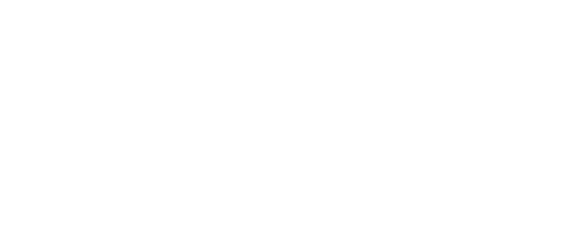 Chiropractic-Homer-Glen-IL-Family-Wellness-Center-Logo-Wht-lg.png